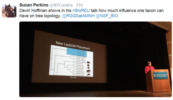 Devin Hoffman shows in his #BioREU talk how much influence one taxon can have on tree topology. @RGGSatAMNH @NSF_BIO