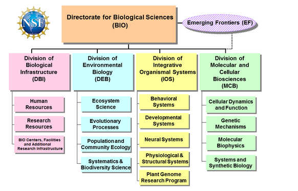 Screenshot 2022-10-04 at 12-54-35 US NSF - BIO - About Biological Sciences (BIO)